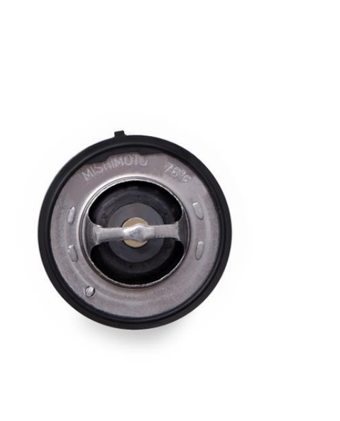 Low-temp Thermostat (169F)