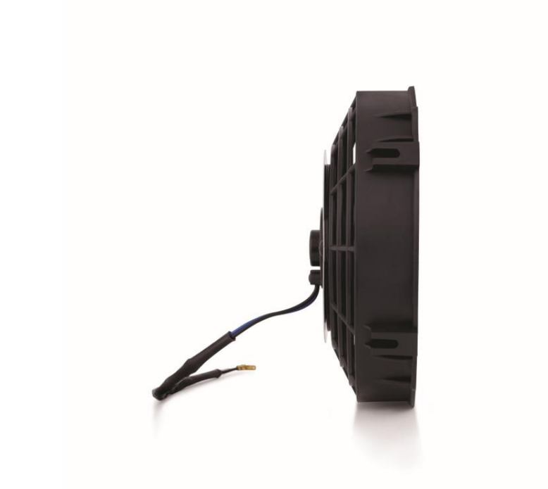 Slim Electric Fan 8"