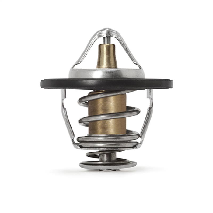 Low-Temp Thermostat 65°C