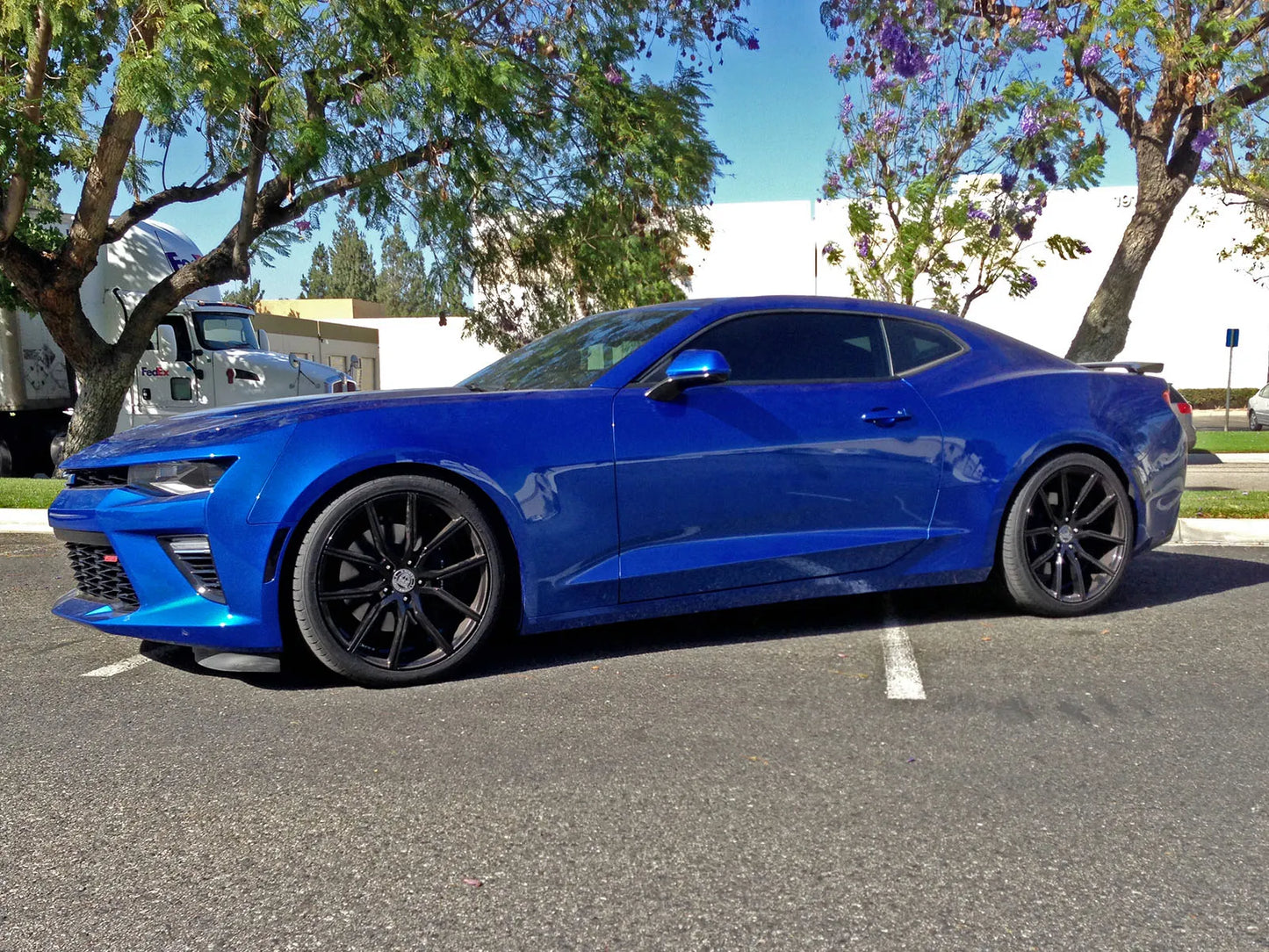 aFe Control Lowering Springs