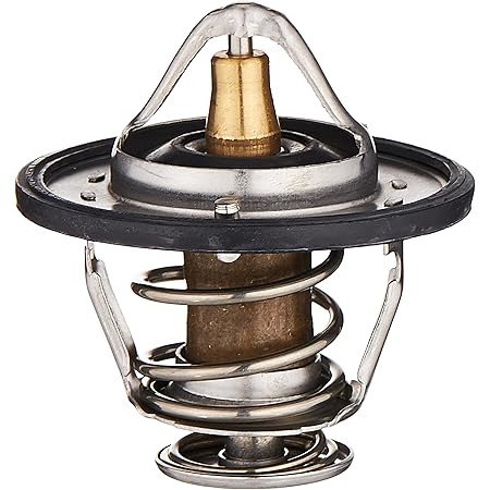 Racing Thermostat