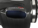 Momentum GT Cold Air Intake System w/Pro 5R Filter